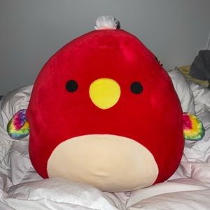 Paco the parrot squishmallow 24